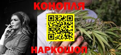 гидра Будённовск