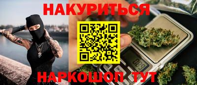 гидра Будённовск