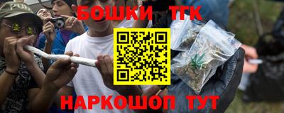 гидра Будённовск