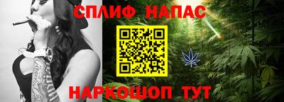 гидра Будённовск